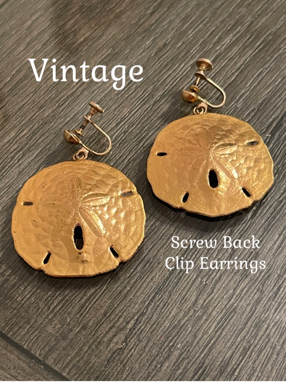 Vintage Gold- tone Metal Dipped Sand Dollar Screw Back Clip Earrings